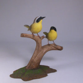 Common Yellowthroat Pair (Warbler)