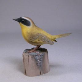 Common Yellowthroat #1 (warbler)
