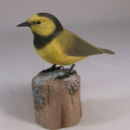 Hooded Warbler #1 (Copy)