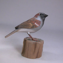 House Sparrow #1