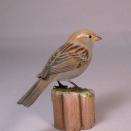 House Sparrow (female)#1