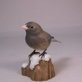 Dark-eyed Junco