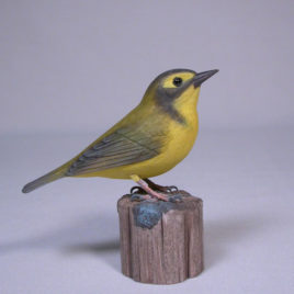 Kentucky Warbler
