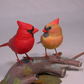 Mini male and female Cardinal #3