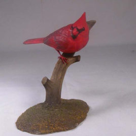 4-1/2 inch Male Cardinal #2