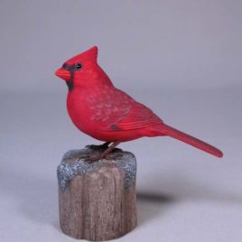 5″ male Cardinal #1