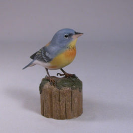 Northern Parula