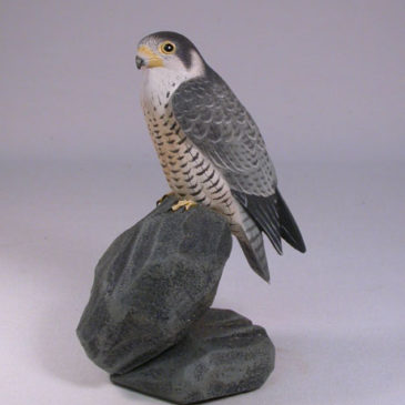 5-1/2″ Peregrine Falcon #1