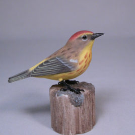 Palm Warbler