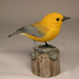 Prothonotary Warbler