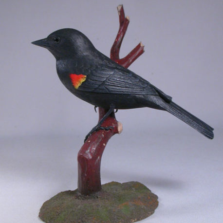 r-w-blackbird2