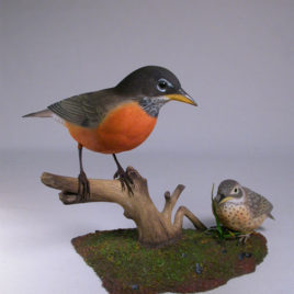 Life Size American Robin & Baby