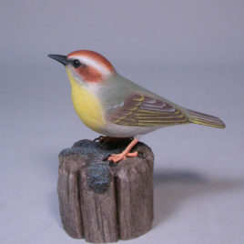 Rufous-capped Warbler