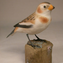 Snow Bunting Winter Plumage
