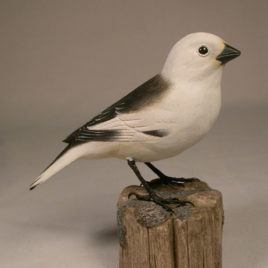 Snow Bunting #2