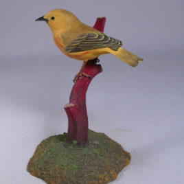 Yellow Warbler (Male) #2