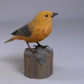 Yellow Warbler (Male) #1