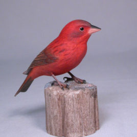 Red Bronze Canary