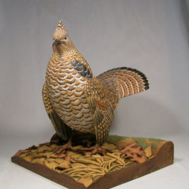 Life Size Ruffed Grouse