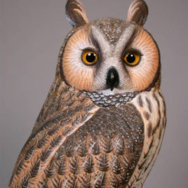 Life Sized 15″ Long-eared Owl
