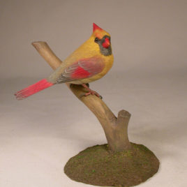 4-5/8 inch Cardinal (female) #3 on branch