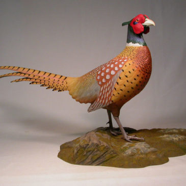 26″ Ring-necked Pheasant