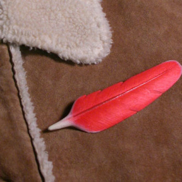 Feather pin-cardinal 3.73 inch