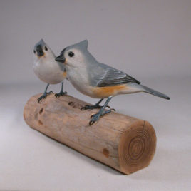 Tufted Titmouse Pair #3