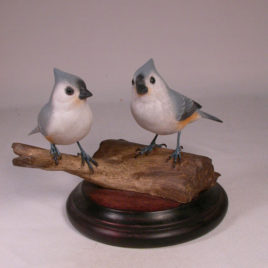 Tufted Titmouse Pair #2  