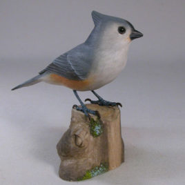 Tufted Titmouse #4