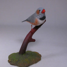 Zebra Finch #1
