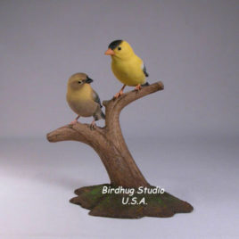 Pair of American Goldfinches (Male and Female) #2