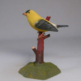 American Goldfinch #7