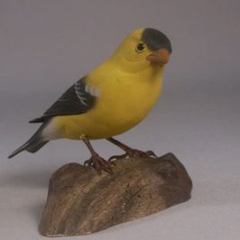 American Goldfinch #8