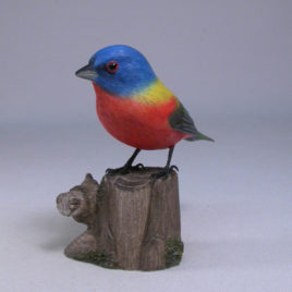 Painted Bunting #3