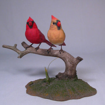 Mini male and female Cardinal #5