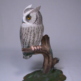 7 1/8″ Whiskered Screech Owl