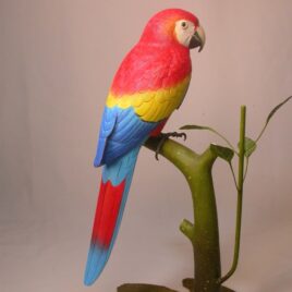 10 3/4″ Red and Gold Macaw